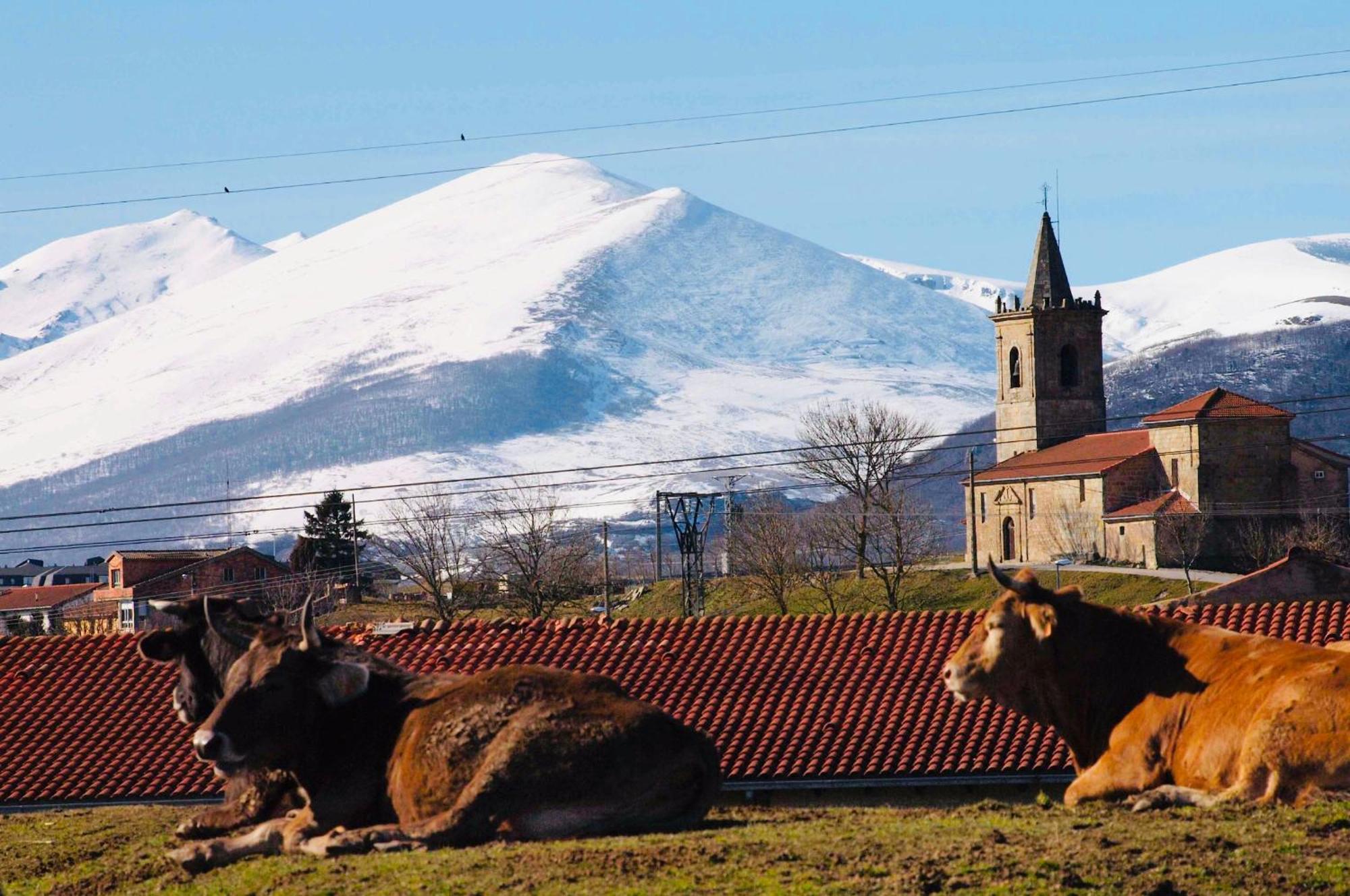 La Regalia De Requejo Villa Reinosa Buitenkant foto